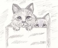 We Haz Your Back